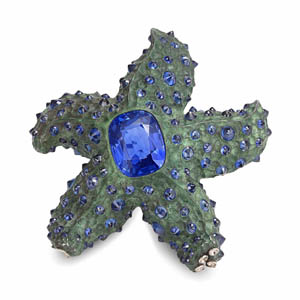 Hemmerle starfish